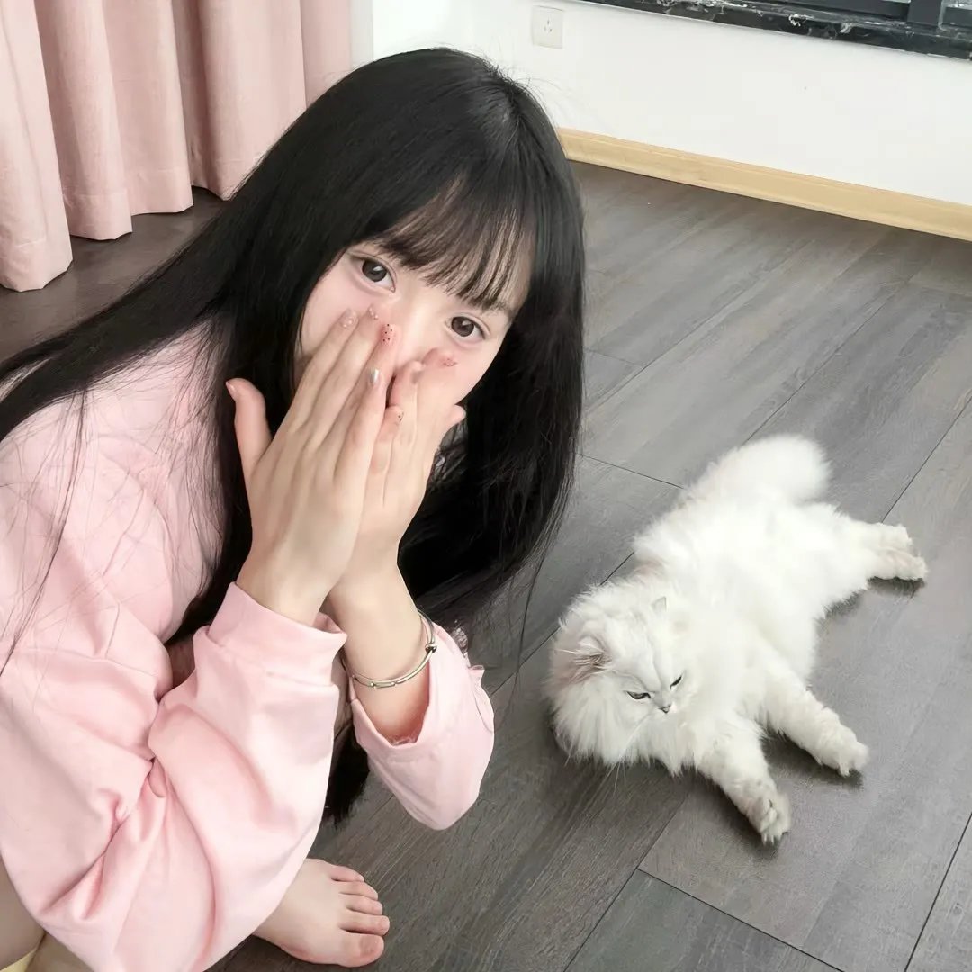 孤鸾慈泪